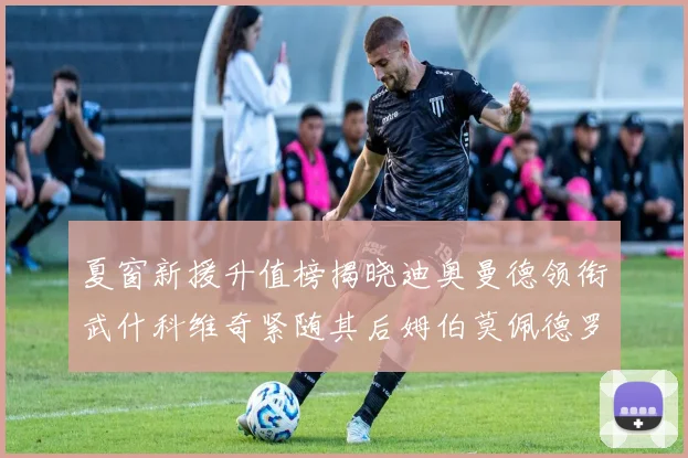 夏窗新援升值榜揭晓迪奥曼德领衔武什科维奇紧随其后姆伯莫佩德罗表现抢眼