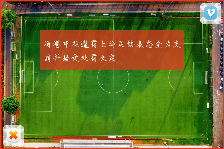 海港申花遭罚上海足协表态全力支持并接受处罚决定