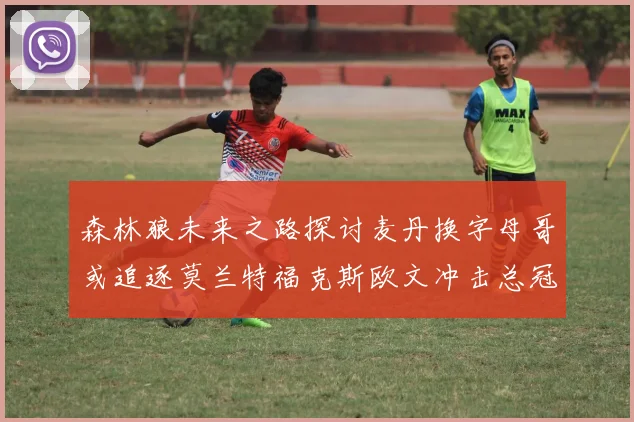 森林狼未来之路探讨麦丹换字母哥或追逐莫兰特福克斯欧文冲击总冠军